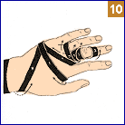 סדר הכריכות שעל האצבע ועל כף היד